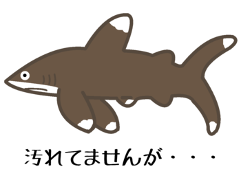 ヨゴレ 世界一危険な 名前もひどい サメ 魔王のアトリエ 珍生物調査記録図鑑