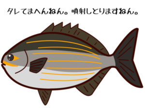 カクレウオ ナマコのお尻に寄生する 肛門魚 魔王のアトリエ 珍生物調査記録図鑑