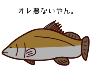 カクレウオ ナマコのお尻に寄生する 肛門魚 魔王のアトリエ 珍生物調査記録図鑑