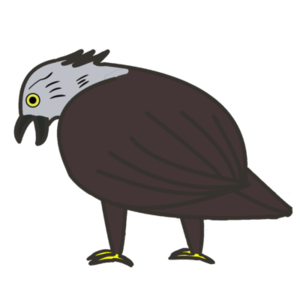 モモイロペリカン 実は白い 喉袋は超繊細で器用な鳥 魔王のアトリエ 珍生物調査記録図鑑